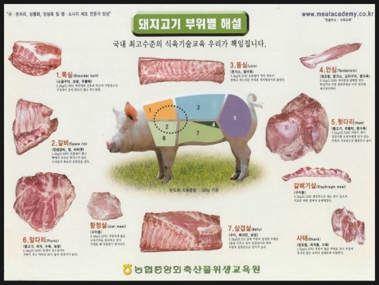 내가 좋아하는 돼지고기 부위는?? | 인스티즈