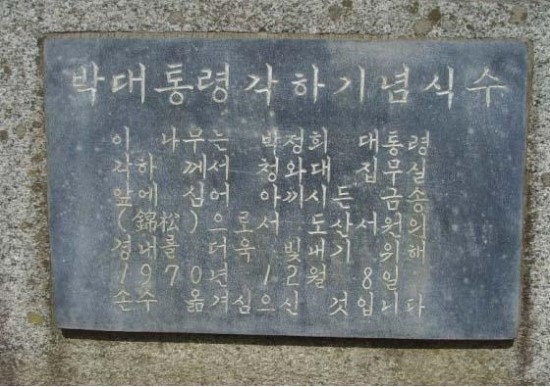 박정희 대통령 기념식수 표지석 철거되다
