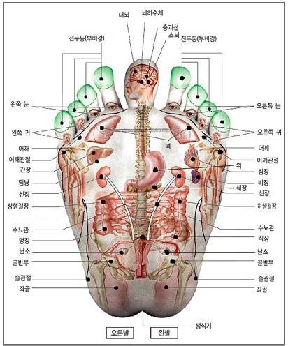 발 마사지