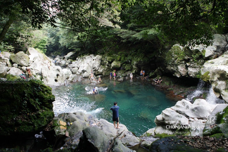 여름제주도여행 돈내코계곡 원앙폭포