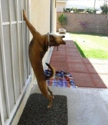 %BF%F4%B1%E4%B0%B3%BB%E7%C1%F8_%C1%A6%B9%DF%BF%AD%BE%EE%C1%D6%B0%B3.jpg?type=w800