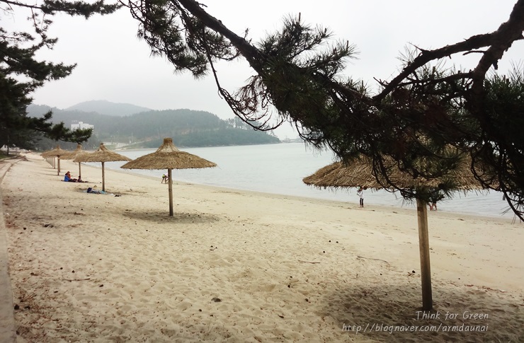 >해남 송호리 해수욕장< 소나무와 어우러진 이국적인 풍경에 잠시 머물다,,,