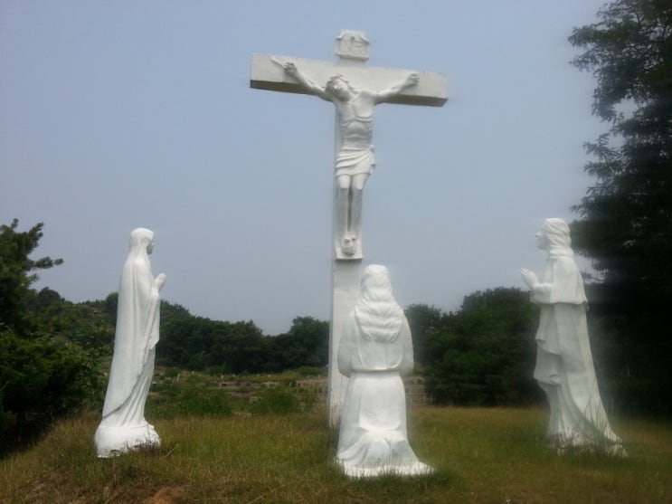 ì¢êµë¨ì²´ì°¨íë íìíìë¥ì ëí ì´ë¯¸ì§ ê²ìê²°ê³¼