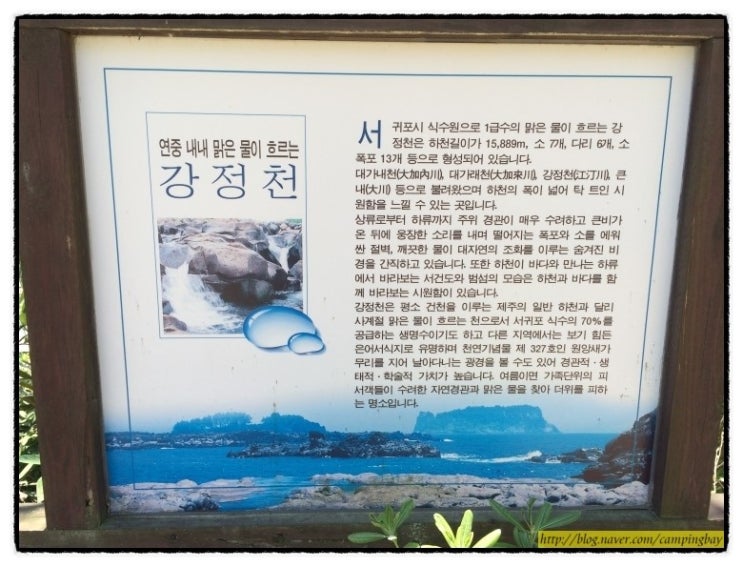 제주도 강정천