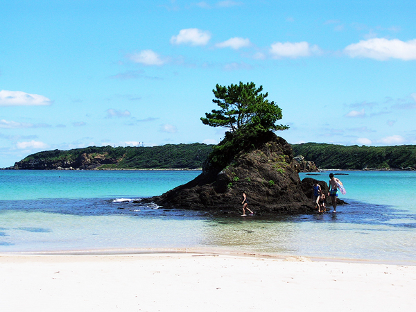 [여행사/허니문] 엘리스투어 ★대마도 패키지 초특가★