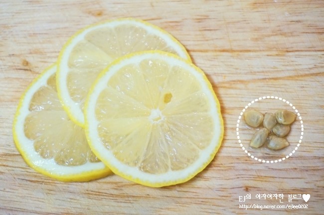 DSC09206.JPG?type=w2