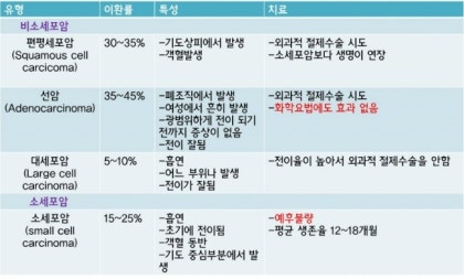 폐 소세포암에 대한 이미지 검색결과