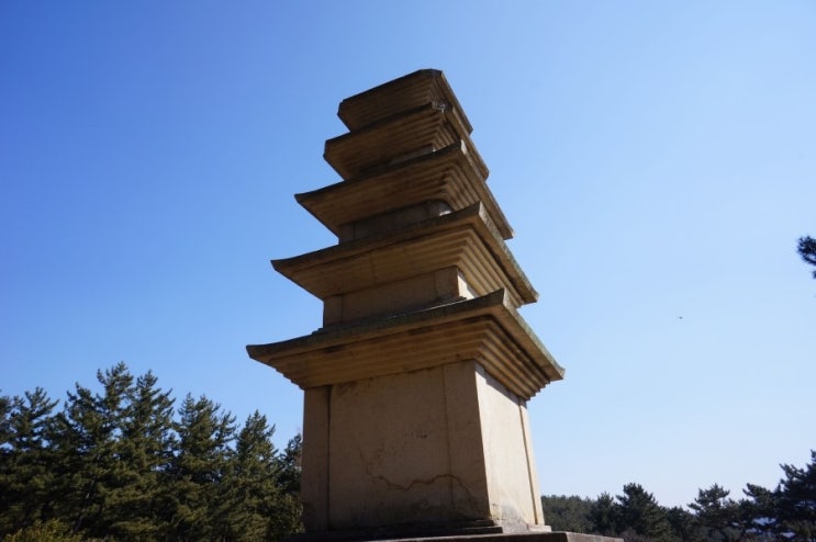 국보31호 이미지
