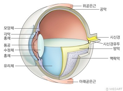 ☆ 눈 건강 생활습관