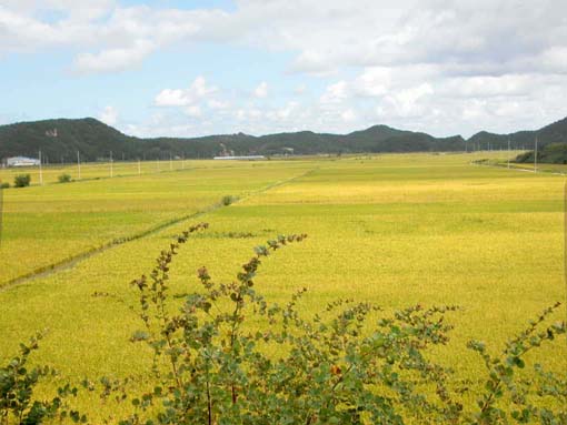 한국의 美(21)-농토(2)