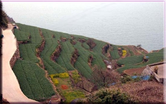 한국의 美(21)- 농토(3)