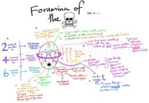 Cranial Nerves Foramen Of The Skull Ë¤ì´ë² Ë¸ë¡ê·¸ Especially all the many holes—or foramina—of the skull. ë¤ì´ë² ë¸ë¡ê·¸
