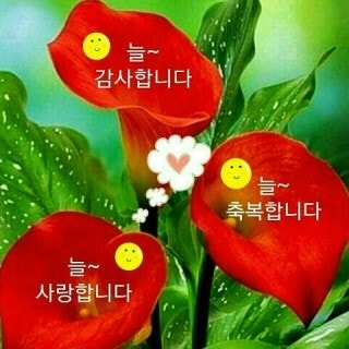 즐겁다 이미지