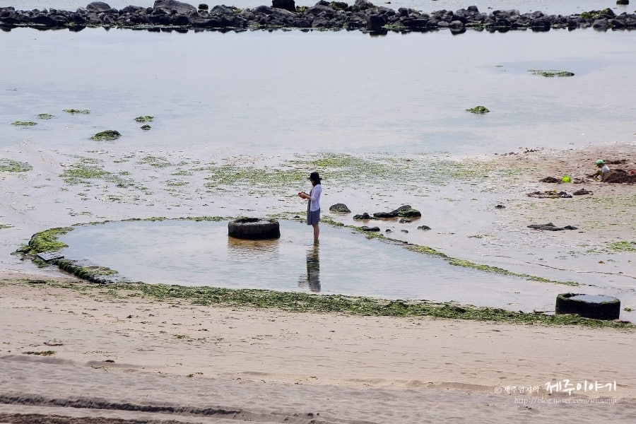 이호테우해변 원담과 문수물