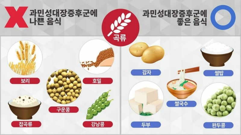 ê³¼ë¯¼ì± ëì¥ ì¦íêµ°ì ëí ì´ë¯¸ì§ ê²ìê²°ê³¼