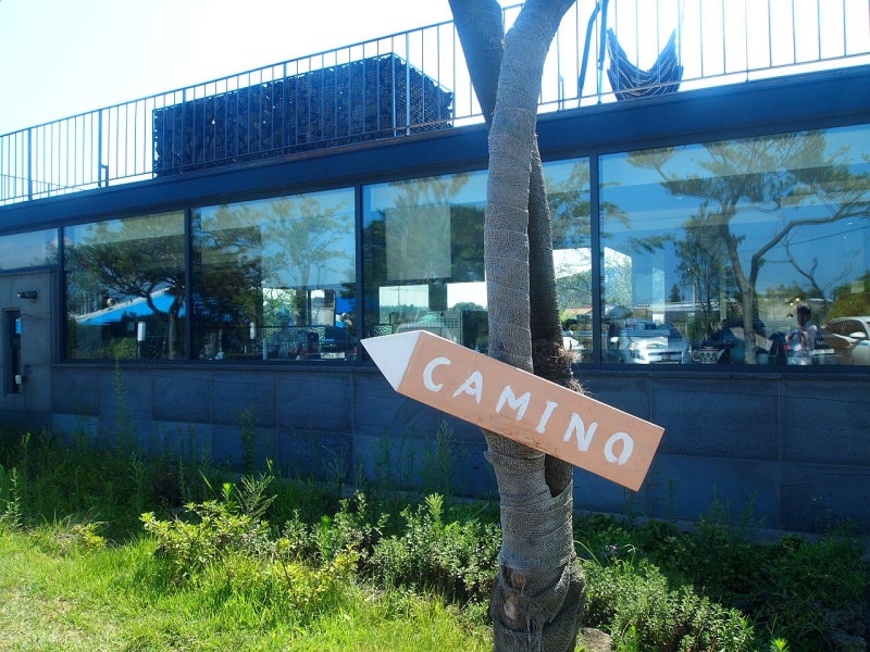 혼자 가도 좋은 애월 카페 [까미노 CAMINO] : 네이버 블로그