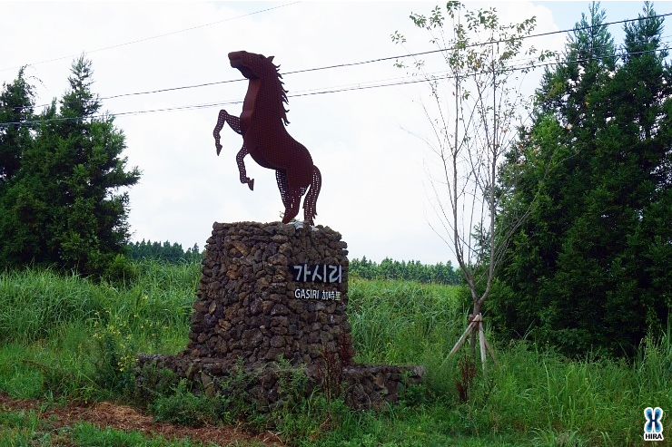 [공유] 제주도 여행지 역사와 문화가 살아있는 제주 가시리마을