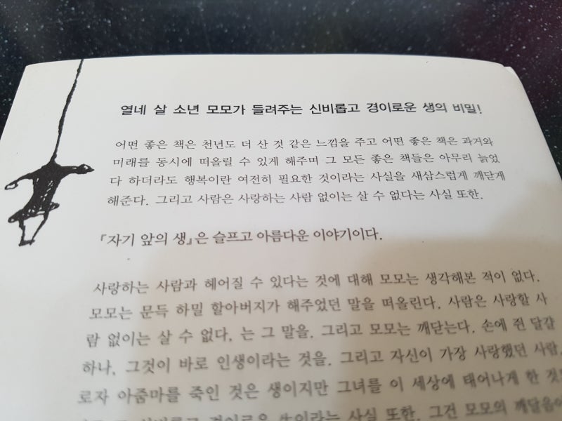 자기앞의생 줄거리 파악부터하는 집고치는그녀 네이버 블로그