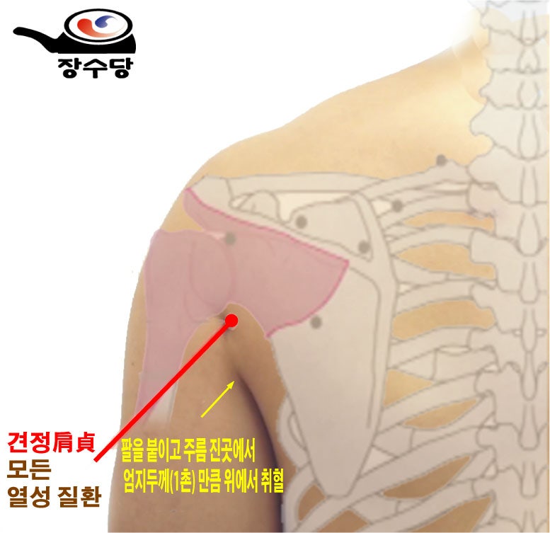 ê²¬ì íì ëí ì´ë¯¸ì§ ê²ìê²°ê³¼