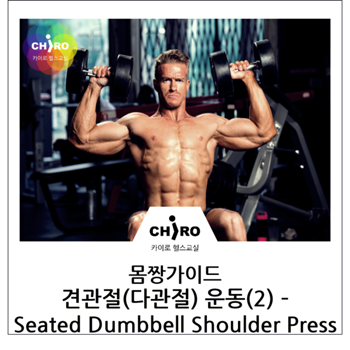 선유도pt 카이로 헬스교실 몸짱가이드 견관절 다관절 운동 2 시티드 덤벨 숄더 프레스 Seated Dumbbell Shoulder Press 네이버 블로그