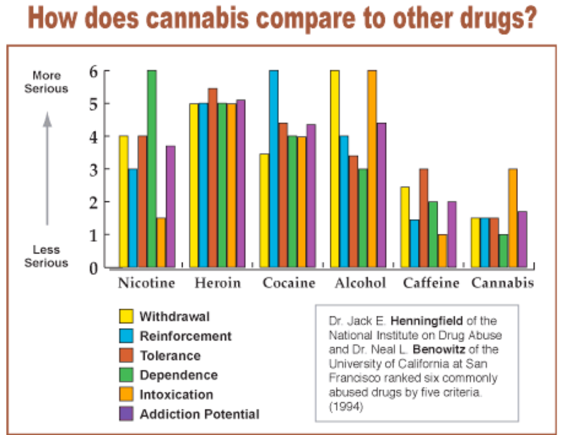 한국에서 대마초 합법이 절대 되어선 안되는 이유 네이버 블로그 weed tolerance break chart