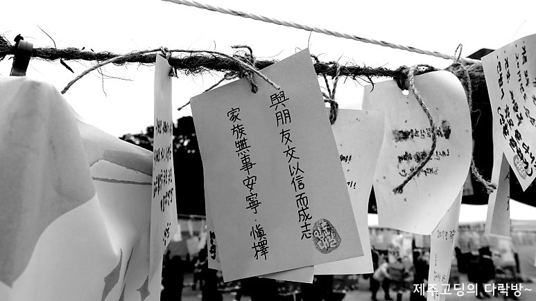 2017 탐라국 입춘굿 현장에 잠시 들려서...