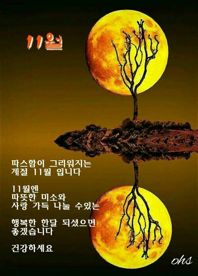 １１월 이미지
