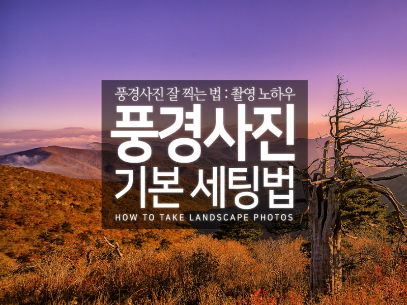 촬영테크닉 풍경 사진 카메라 기본 세팅 네이버 블로그