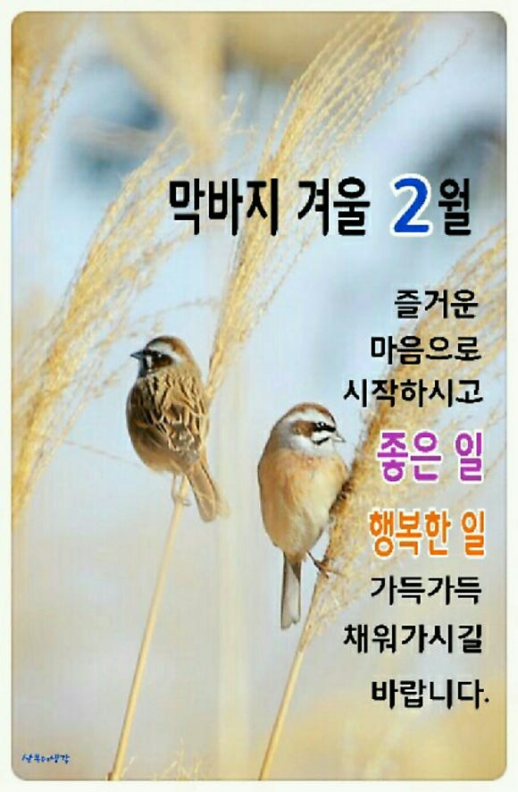 윤보영 / 2월의 다짐