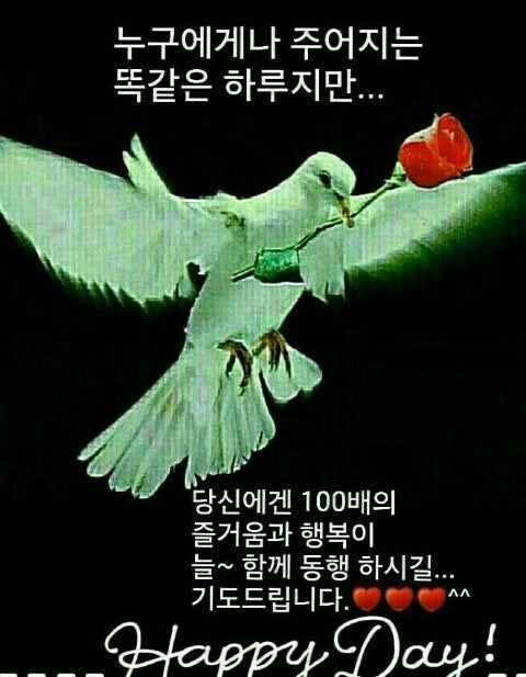 옳음 이미지
