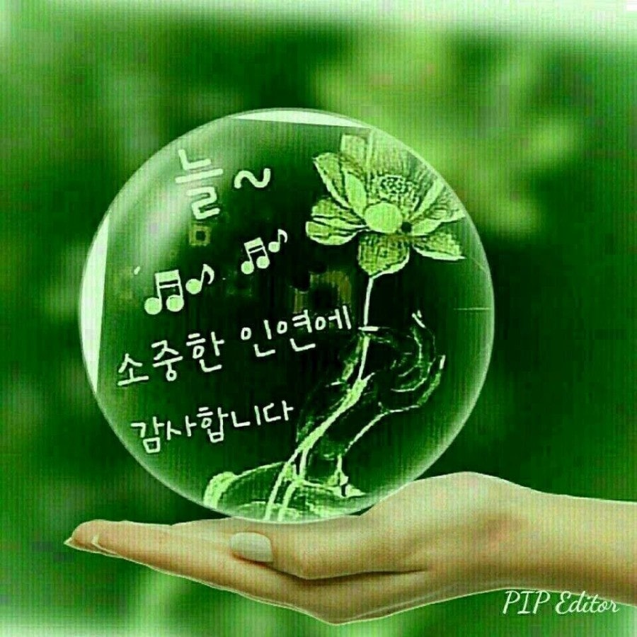 인연 이미지