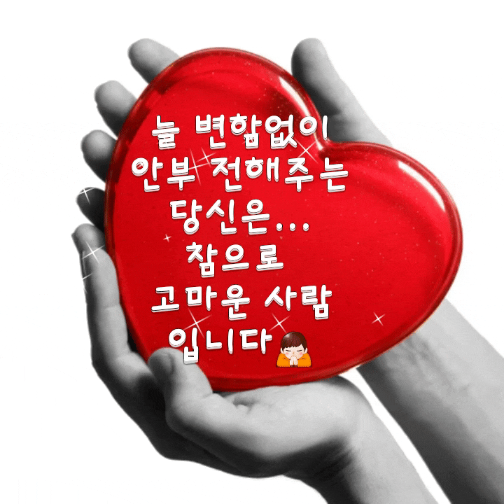12월 16일 일요일