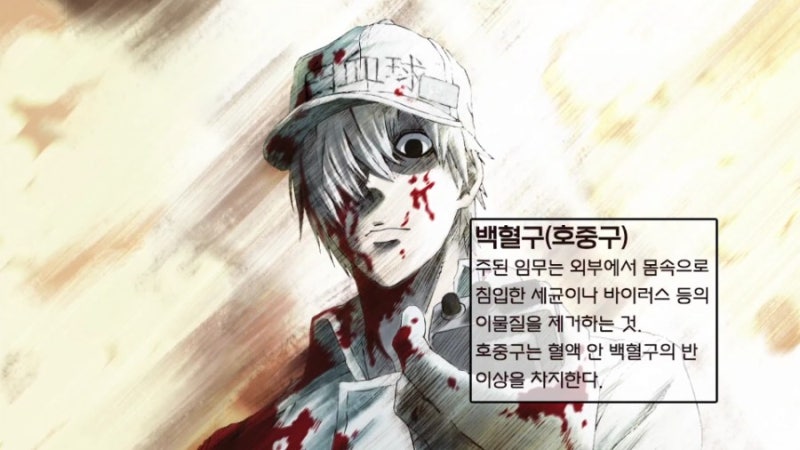 일하는 세포 우리말 더빙 1화 감상 후기 네이버 블로그