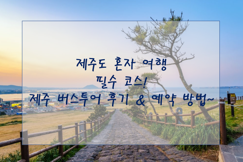 제주도 뚜벅이 혼자여행 필수 제주 동쪽 서쪽코스 버스투어 네이버 블로그