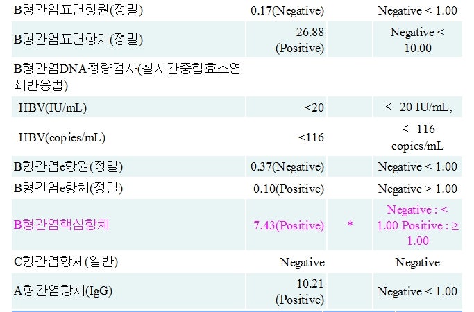 Interpretation Of The Hepatitis B Serologic Panel 1 Immune Due To Natural Infection 네이버 블로그