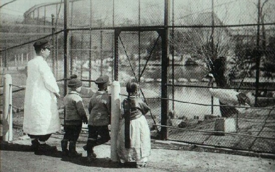 창경원에라도 갈까